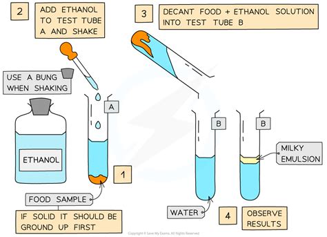 emulsion test for lipids|1.2.4 Biochemical Tests: Lipids .